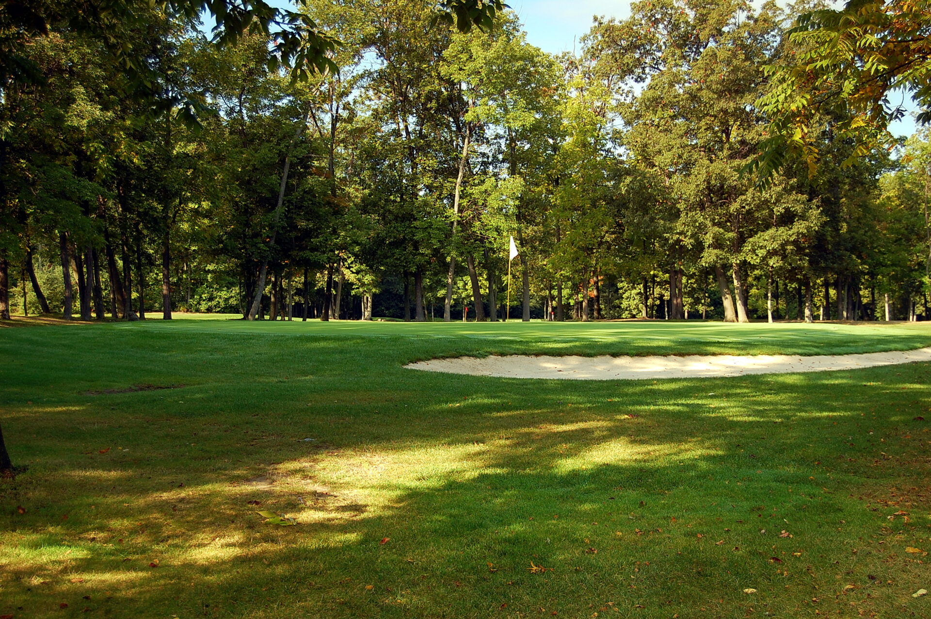 12_green_09